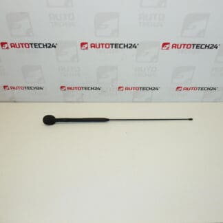 Antennisarja Citroën C3 Pluriel 6561R7 656197