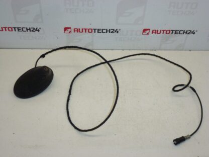 Antenni Peugeot 207 9651423580 6561GW