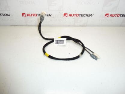 Antennijohtosarja Citroën C4 II B7 ja DS4 9675654480 6587C8